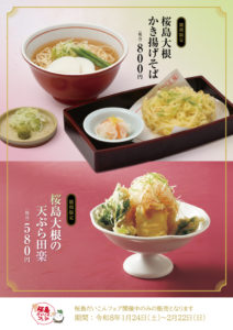 左膳桜島大根2026